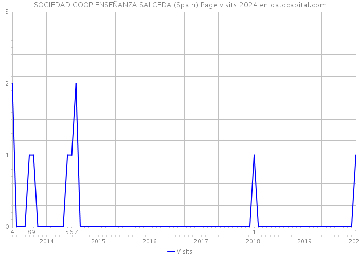 SOCIEDAD COOP ENSEÑANZA SALCEDA (Spain) Page visits 2024 