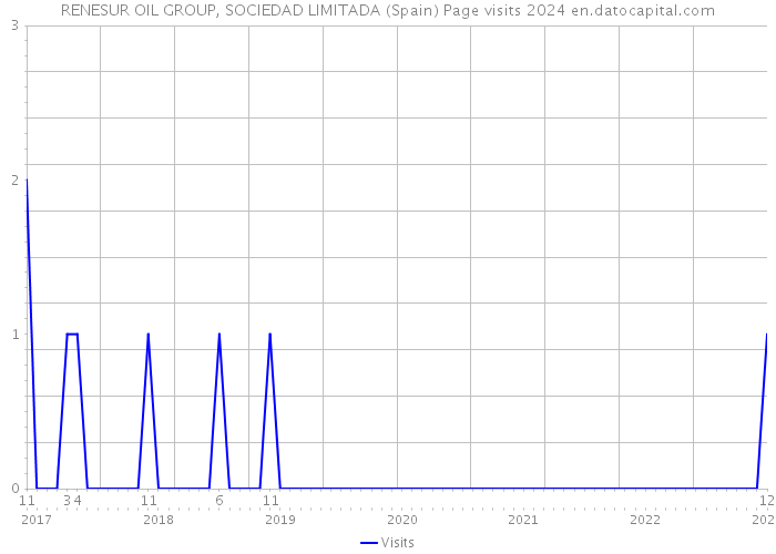 RENESUR OIL GROUP, SOCIEDAD LIMITADA (Spain) Page visits 2024 