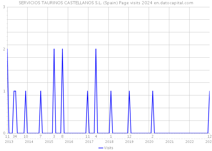 SERVICIOS TAURINOS CASTELLANOS S.L. (Spain) Page visits 2024 