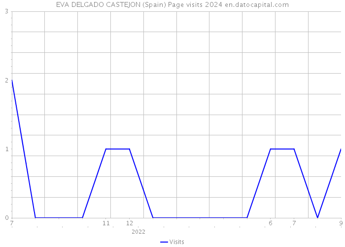 EVA DELGADO CASTEJON (Spain) Page visits 2024 