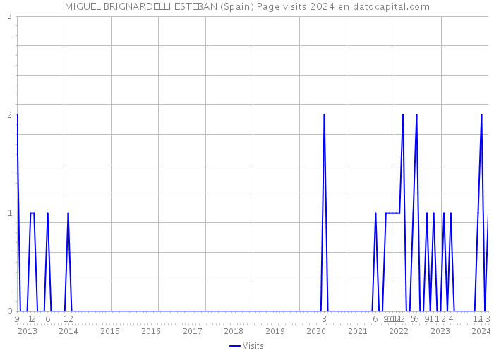 MIGUEL BRIGNARDELLI ESTEBAN (Spain) Page visits 2024 