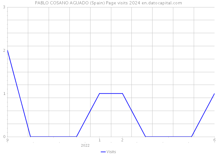 PABLO COSANO AGUADO (Spain) Page visits 2024 