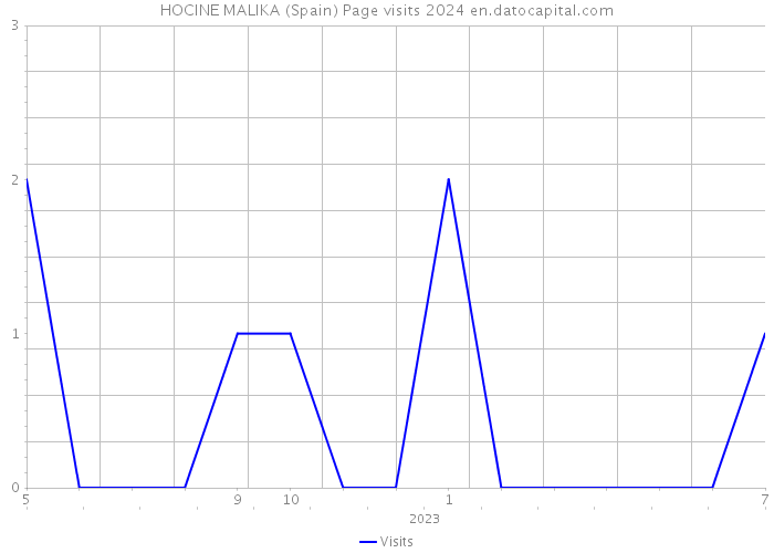 HOCINE MALIKA (Spain) Page visits 2024 