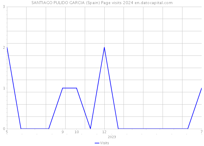 SANTIAGO PULIDO GARCIA (Spain) Page visits 2024 