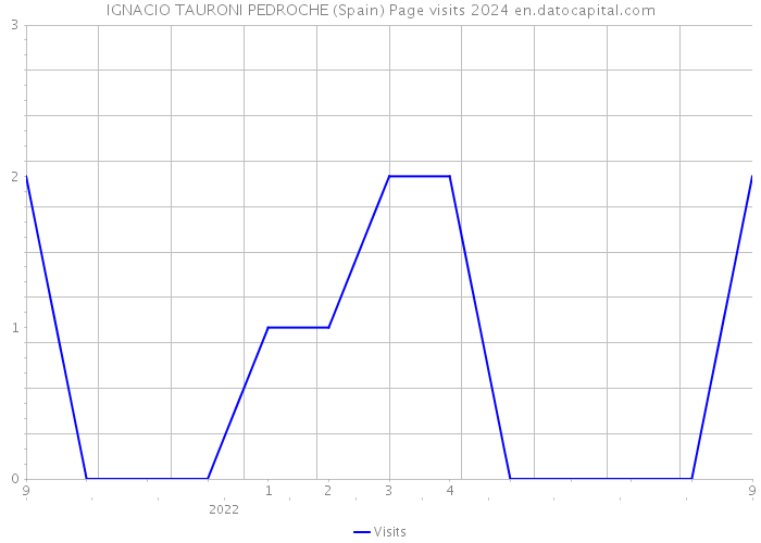 IGNACIO TAURONI PEDROCHE (Spain) Page visits 2024 