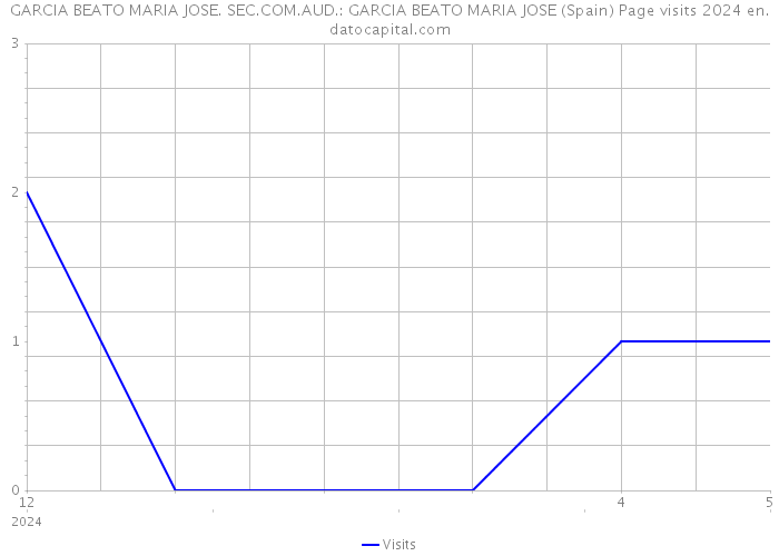 GARCIA BEATO MARIA JOSE. SEC.COM.AUD.: GARCIA BEATO MARIA JOSE (Spain) Page visits 2024 