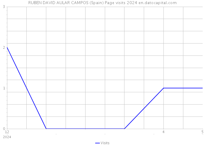 RUBEN DAVID AULAR CAMPOS (Spain) Page visits 2024 