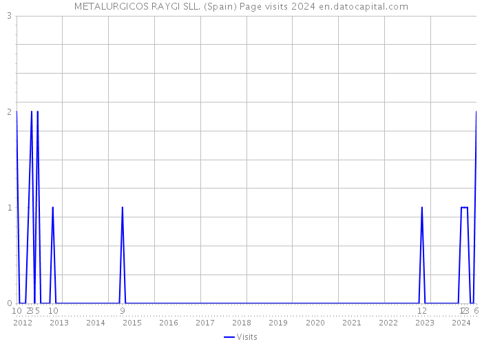 METALURGICOS RAYGI SLL. (Spain) Page visits 2024 