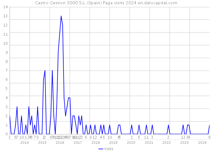 Castro Gestion 3000 S.L. (Spain) Page visits 2024 