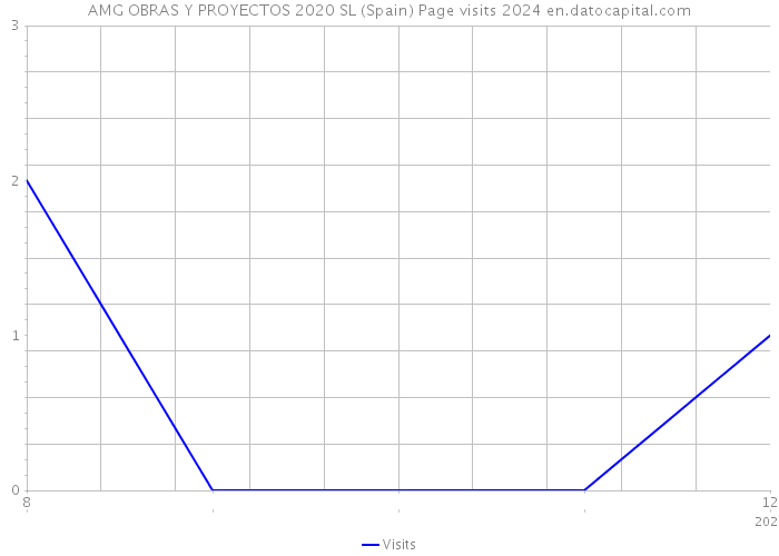 AMG OBRAS Y PROYECTOS 2020 SL (Spain) Page visits 2024 