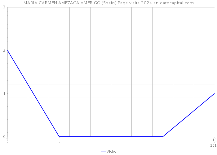 MARIA CARMEN AMEZAGA AMERIGO (Spain) Page visits 2024 