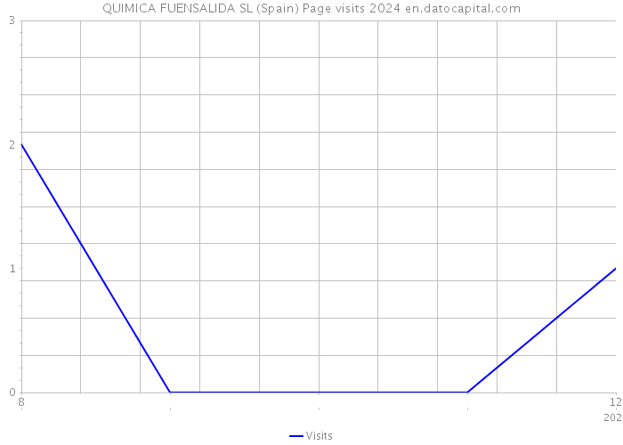 QUIMICA FUENSALIDA SL (Spain) Page visits 2024 