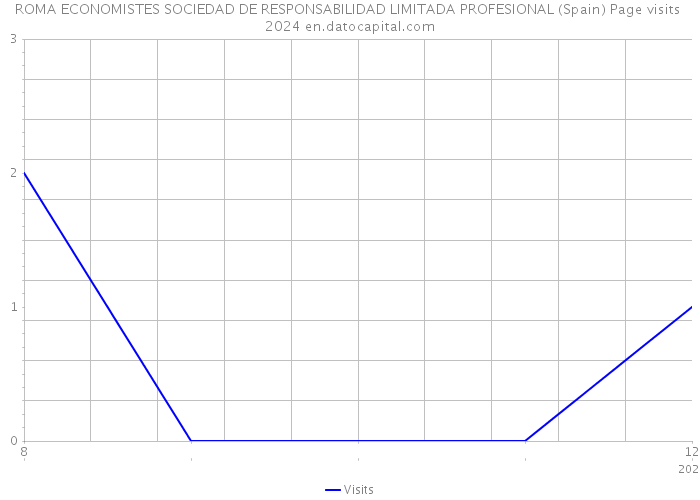 ROMA ECONOMISTES SOCIEDAD DE RESPONSABILIDAD LIMITADA PROFESIONAL (Spain) Page visits 2024 