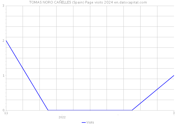 TOMAS NORO CAÑELLES (Spain) Page visits 2024 