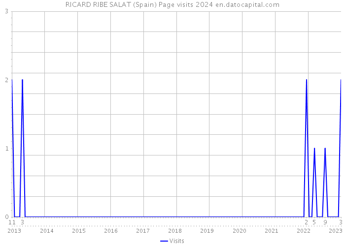 RICARD RIBE SALAT (Spain) Page visits 2024 