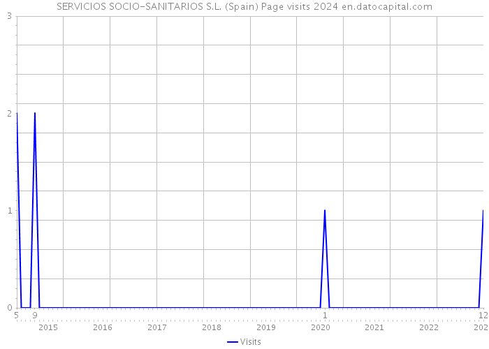 SERVICIOS SOCIO-SANITARIOS S.L. (Spain) Page visits 2024 