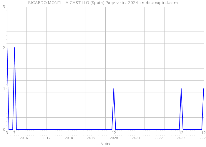 RICARDO MONTILLA CASTILLO (Spain) Page visits 2024 