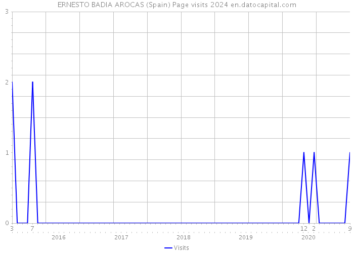 ERNESTO BADIA AROCAS (Spain) Page visits 2024 