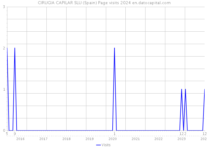  CIRUGIA CAPILAR SLU (Spain) Page visits 2024 