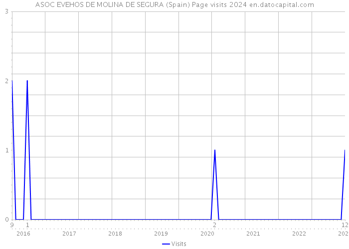 ASOC EVEHOS DE MOLINA DE SEGURA (Spain) Page visits 2024 