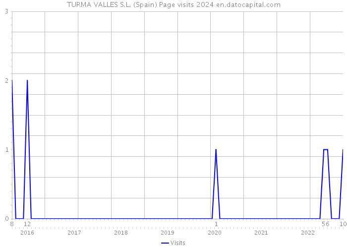 TURMA VALLES S.L. (Spain) Page visits 2024 