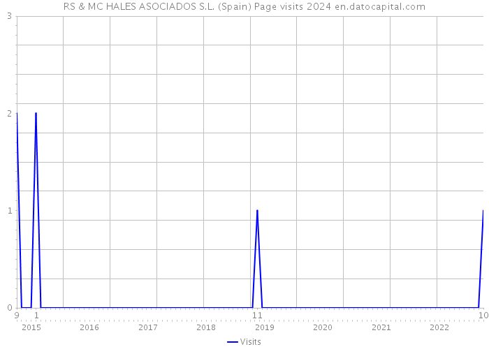 RS & MC HALES ASOCIADOS S.L. (Spain) Page visits 2024 