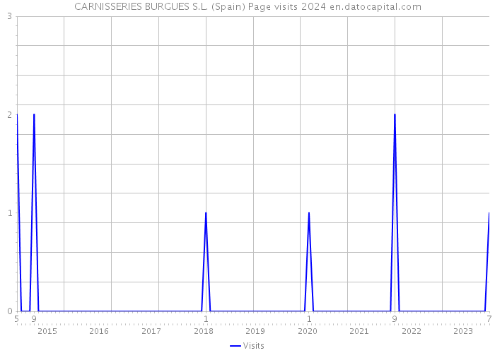 CARNISSERIES BURGUES S.L. (Spain) Page visits 2024 