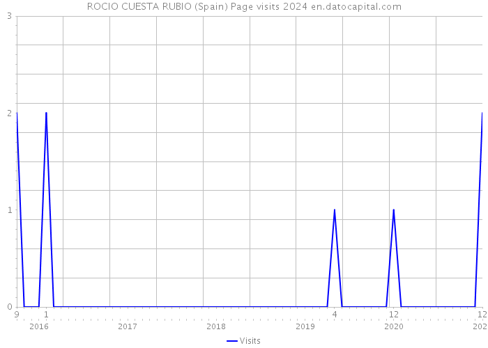 ROCIO CUESTA RUBIO (Spain) Page visits 2024 