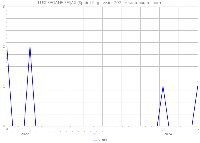 LUIS SEOANE SEIJAS (Spain) Page visits 2024 