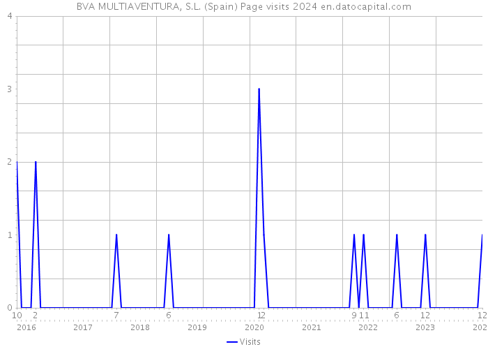 BVA MULTIAVENTURA, S.L. (Spain) Page visits 2024 