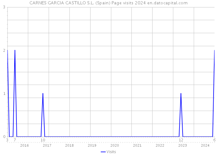 CARNES GARCIA CASTILLO S.L. (Spain) Page visits 2024 