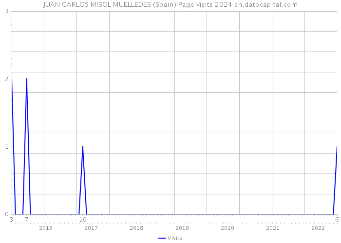 JUAN CARLOS MISOL MUELLEDES (Spain) Page visits 2024 