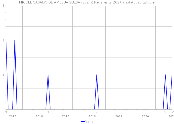 MIGUEL CASADO DE AMEZUA BUESA (Spain) Page visits 2024 