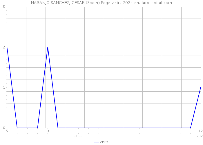 NARANJO SANCHEZ, CESAR (Spain) Page visits 2024 