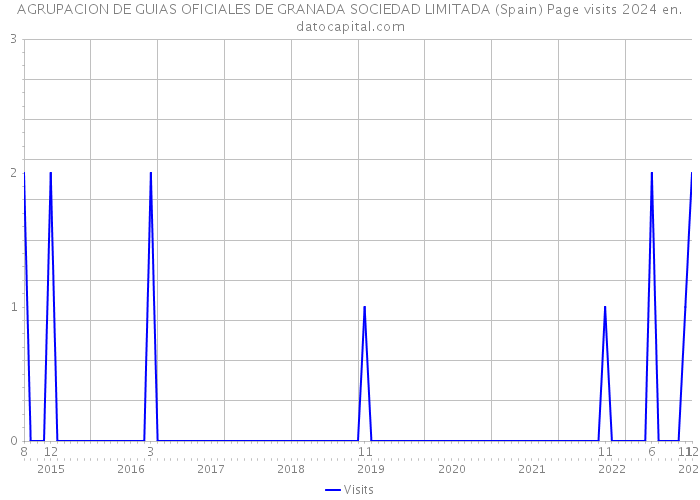 AGRUPACION DE GUIAS OFICIALES DE GRANADA SOCIEDAD LIMITADA (Spain) Page visits 2024 