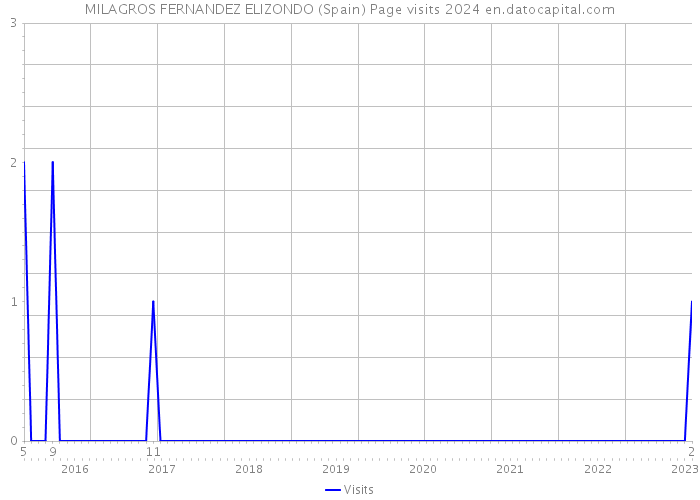 MILAGROS FERNANDEZ ELIZONDO (Spain) Page visits 2024 