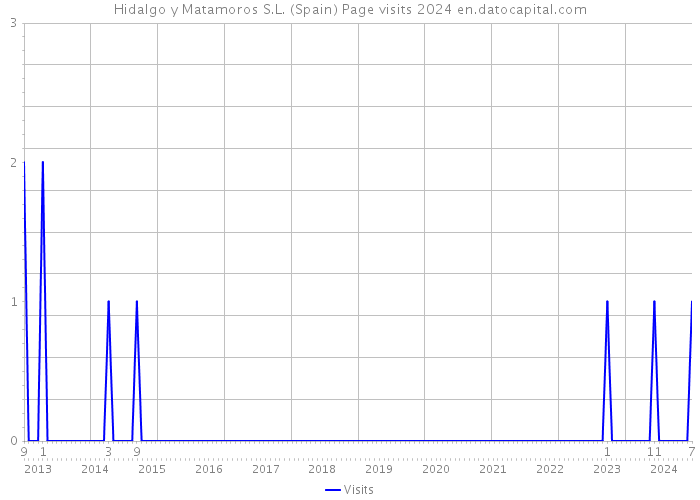 Hidalgo y Matamoros S.L. (Spain) Page visits 2024 