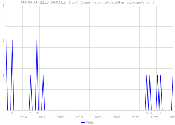 MARIA ANGELES SANCHEZ TUERO (Spain) Page visits 2024 