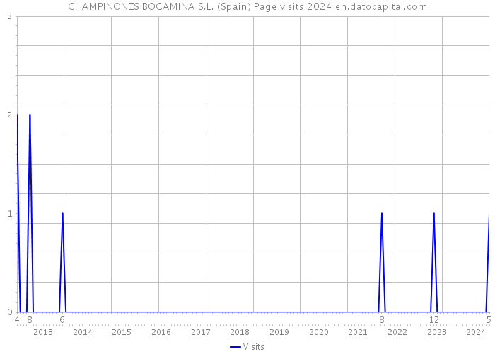 CHAMPINONES BOCAMINA S.L. (Spain) Page visits 2024 