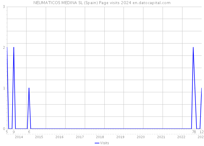 NEUMATICOS MEDINA SL (Spain) Page visits 2024 