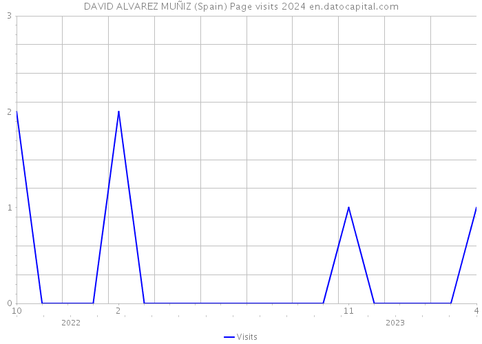 DAVID ALVAREZ MUÑIZ (Spain) Page visits 2024 