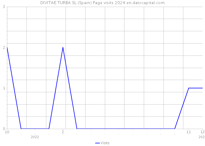 DIVITAE TURBA SL (Spain) Page visits 2024 