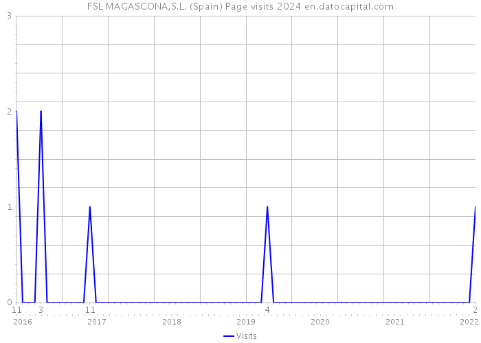 FSL MAGASCONA,S.L. (Spain) Page visits 2024 