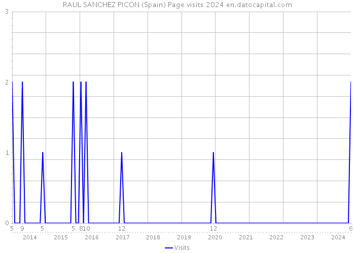 RAUL SANCHEZ PICON (Spain) Page visits 2024 