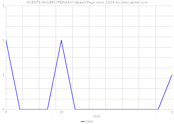 VICENTE HIGUERO PEINADO (Spain) Page visits 2024 