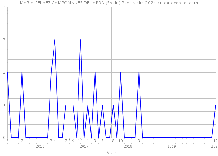 MARIA PELAEZ CAMPOMANES DE LABRA (Spain) Page visits 2024 