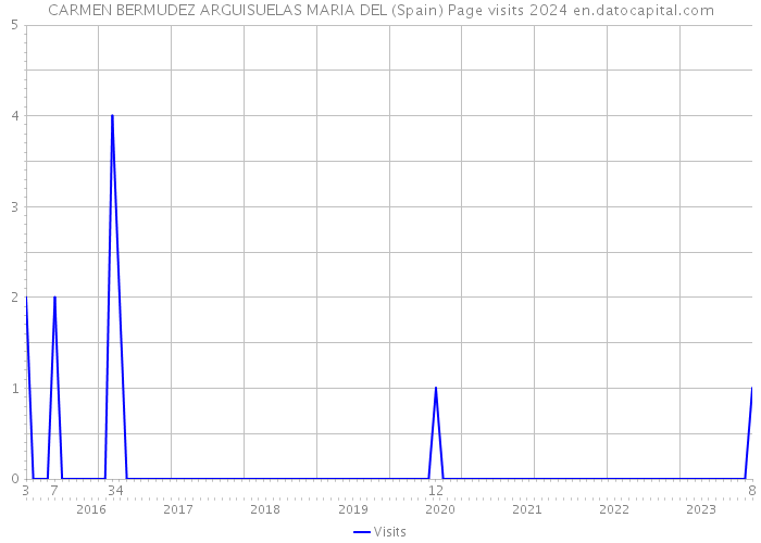 CARMEN BERMUDEZ ARGUISUELAS MARIA DEL (Spain) Page visits 2024 