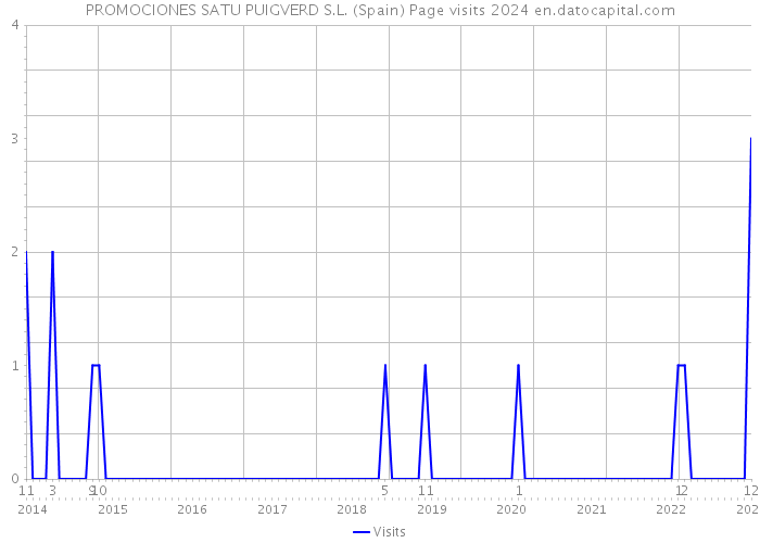 PROMOCIONES SATU PUIGVERD S.L. (Spain) Page visits 2024 