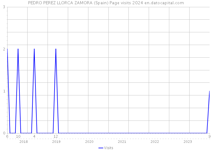 PEDRO PEREZ LLORCA ZAMORA (Spain) Page visits 2024 