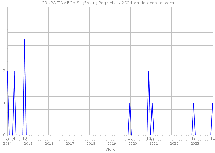 GRUPO TAMEGA SL (Spain) Page visits 2024 